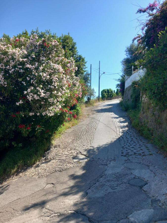 Villetta Panoramica Форио Экстерьер фото